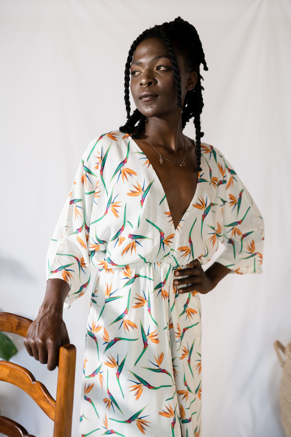 Giorgie Dress- Strelitzia
